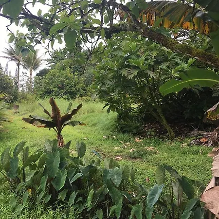 The Hawaii Red House Apartment Private Keaau Esterno foto
